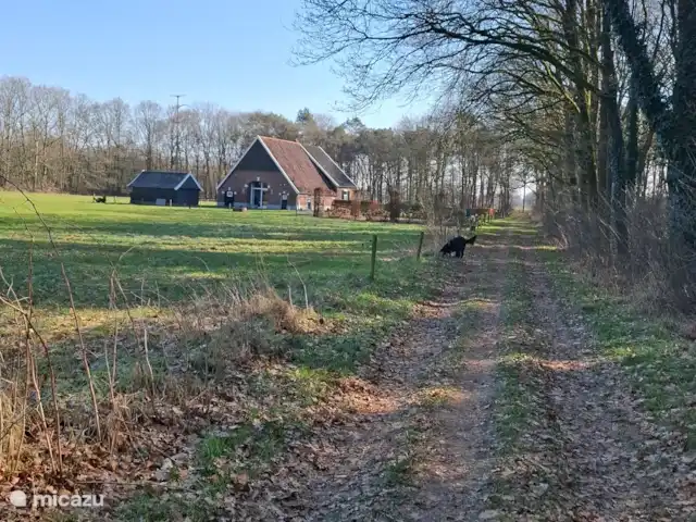 Vanuit het vakantiehuisje wandel je langs deze fraaie boerderij